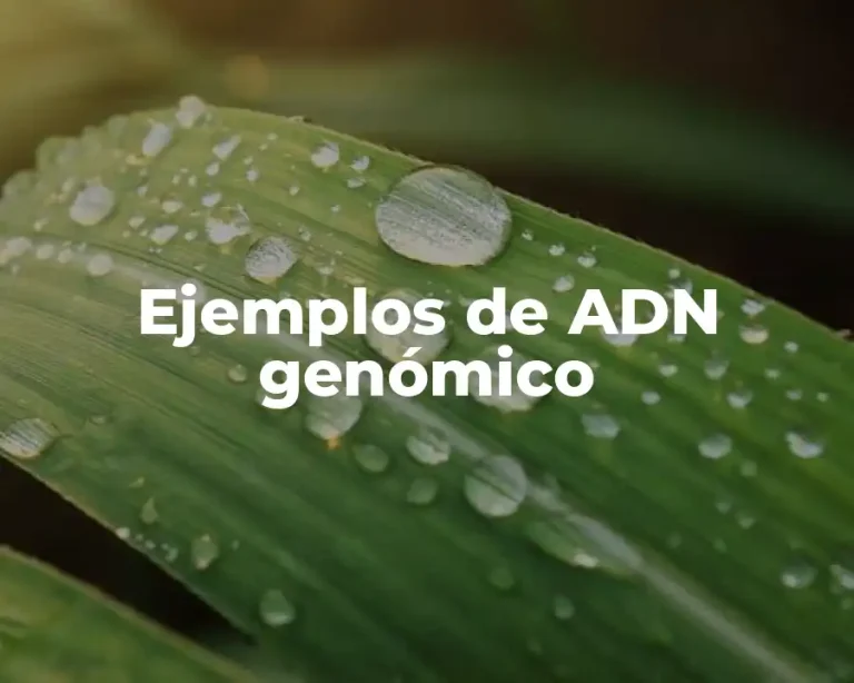Ejemplos de ADN genómico