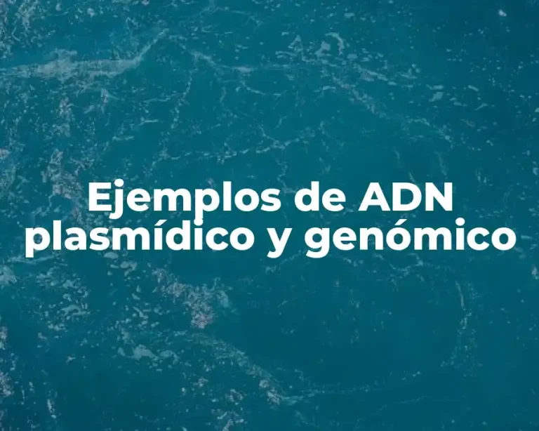 Ejemplos de ADN plasmídico y genómico