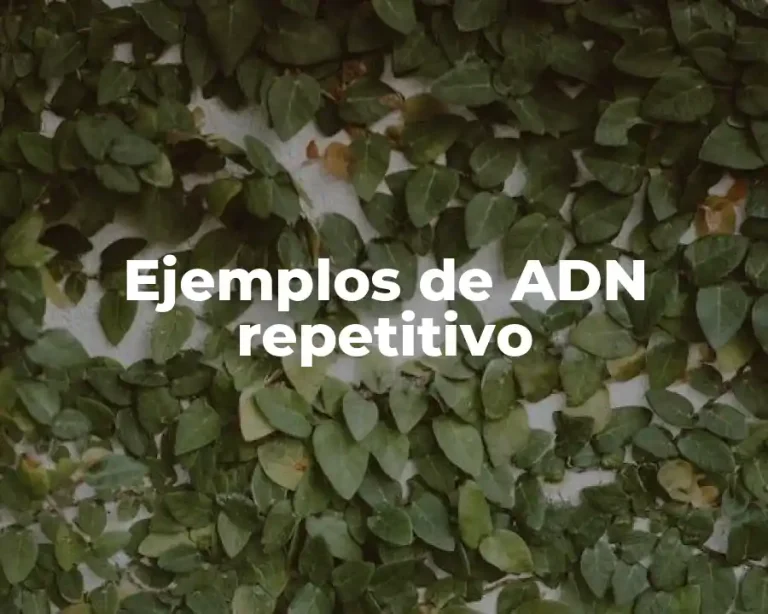 Ejemplos de ADN repetitivo
