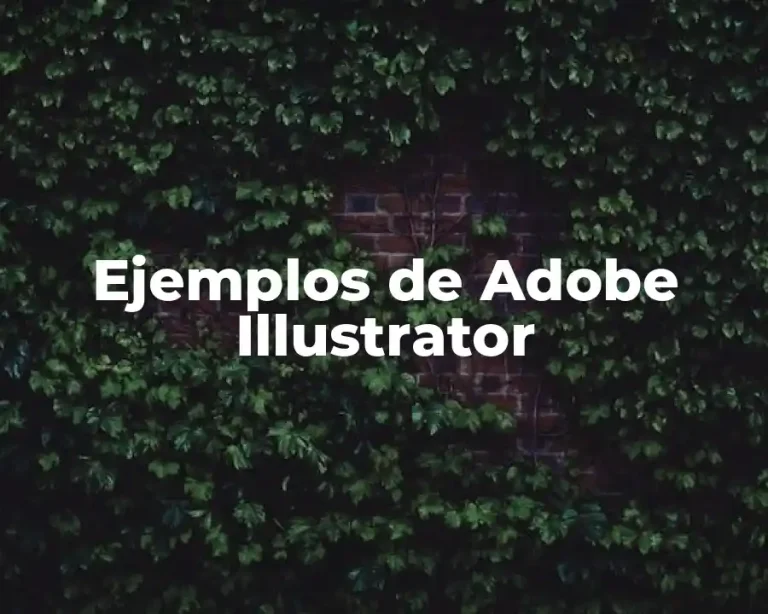 Ejemplos de Adobe Illustrator