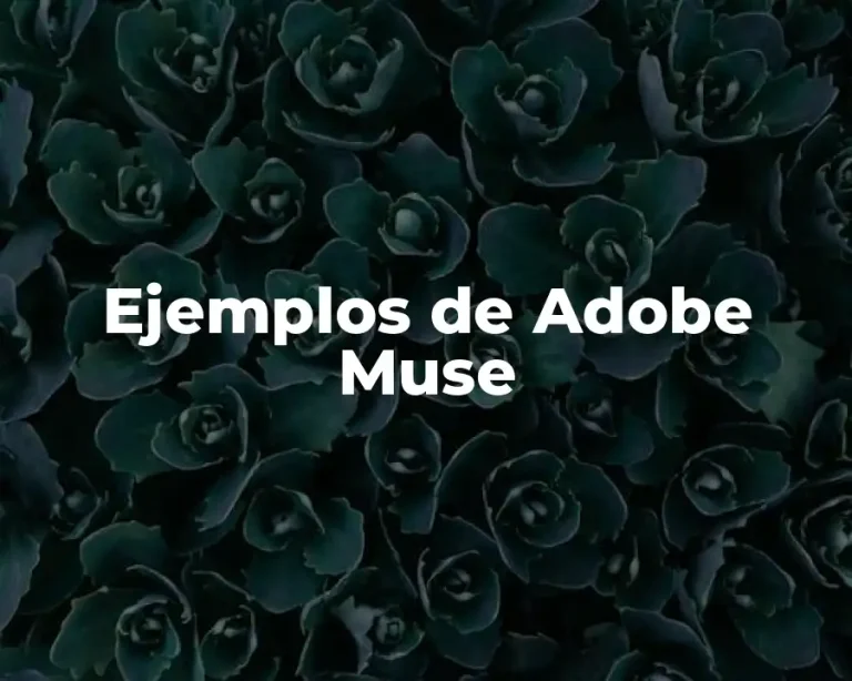 Ejemplos de Adobe Muse