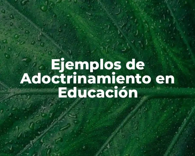 Ejemplos de Adoctrinamiento en Educación