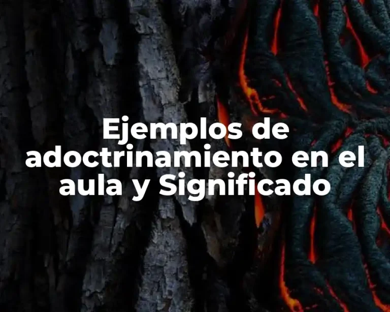 Ejemplos de adoctrinamiento en el aula y Significado