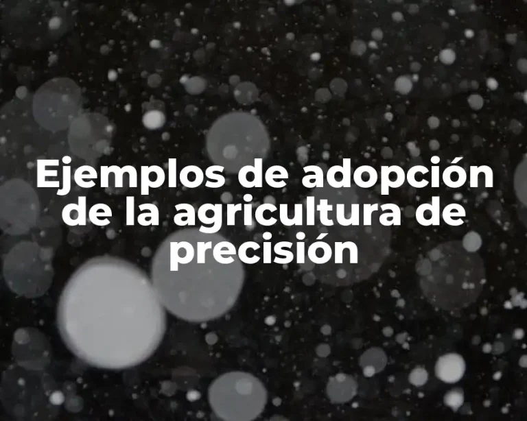 Ejemplos de adopción de la agricultura de precisión