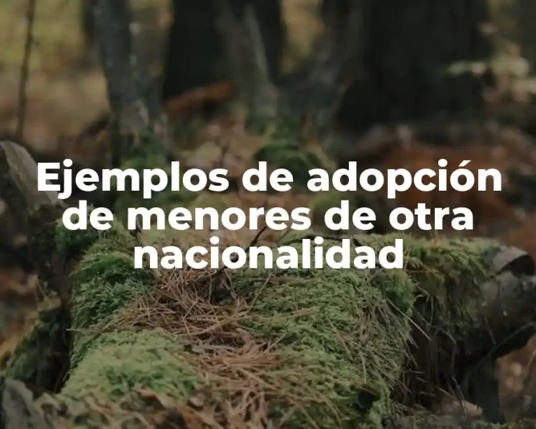 Ejemplos de adopción de menores de otra nacionalidad