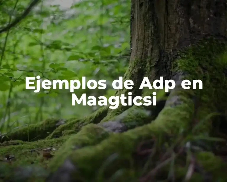 Ejemplos de Adp en Maagticsi
