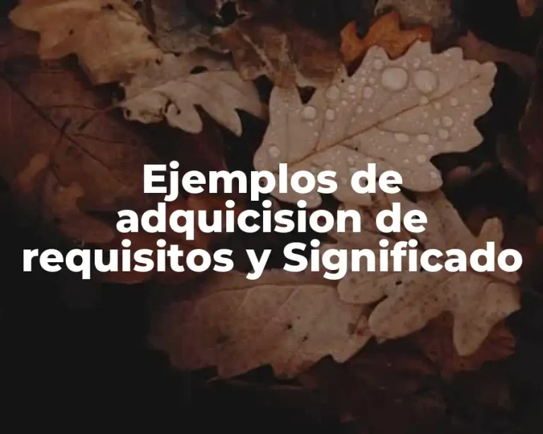 Ejemplos de adquicision de requisitos y Significado