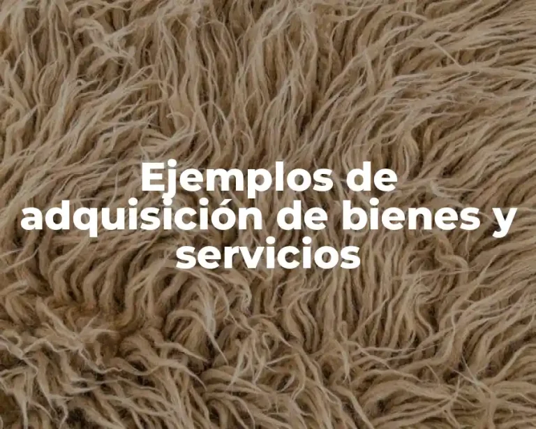 Ejemplos de adquisición de bienes y servicios