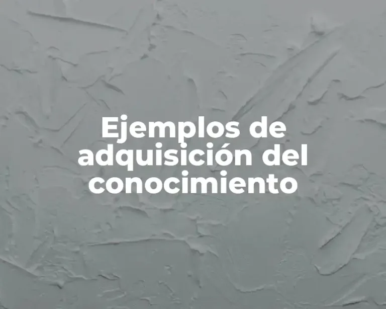 Ejemplos de adquisición del conocimiento