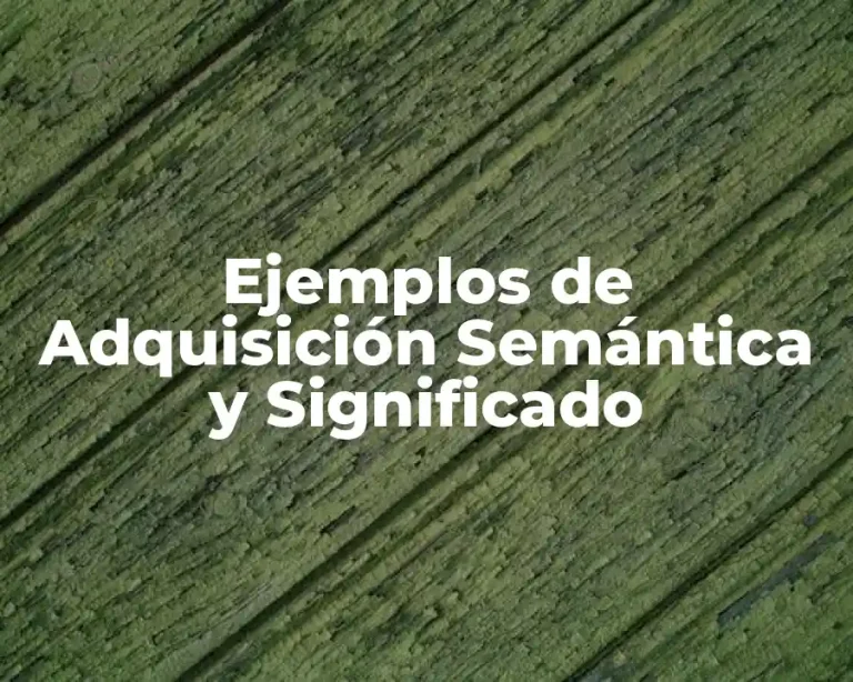 Ejemplos de Adquisición Semántica y Significado