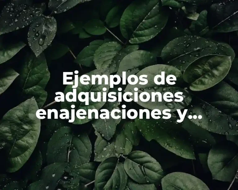 Ejemplos de adquisiciones enajenaciones y alquileres