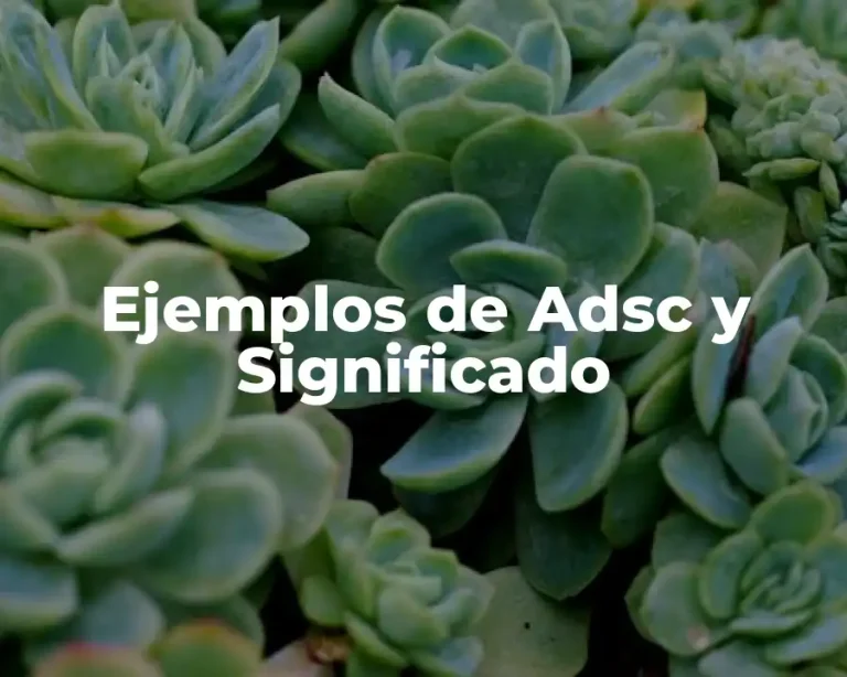 Ejemplos de Adsc y Significado