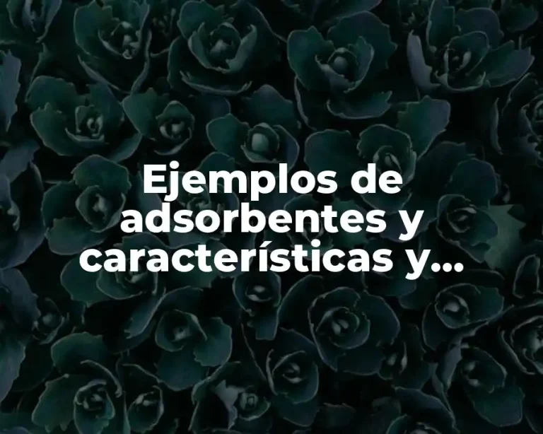Ejemplos de adsorbentes y características y Significado