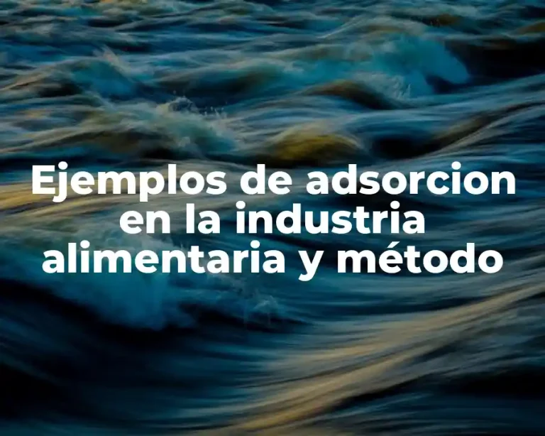 Ejemplos de adsorcion en la industria alimentaria y método