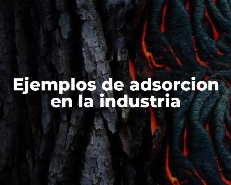 Ejemplos de adsorcion en la industria