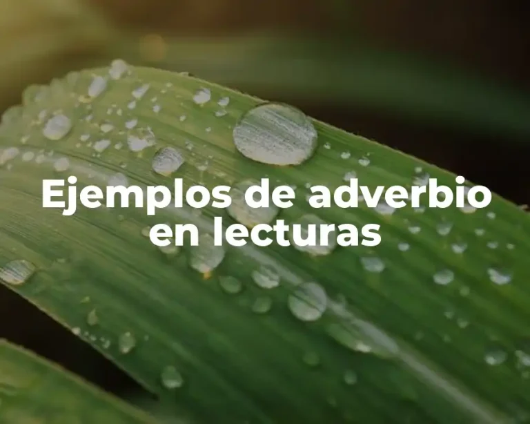 Ejemplos de adverbio en lecturas