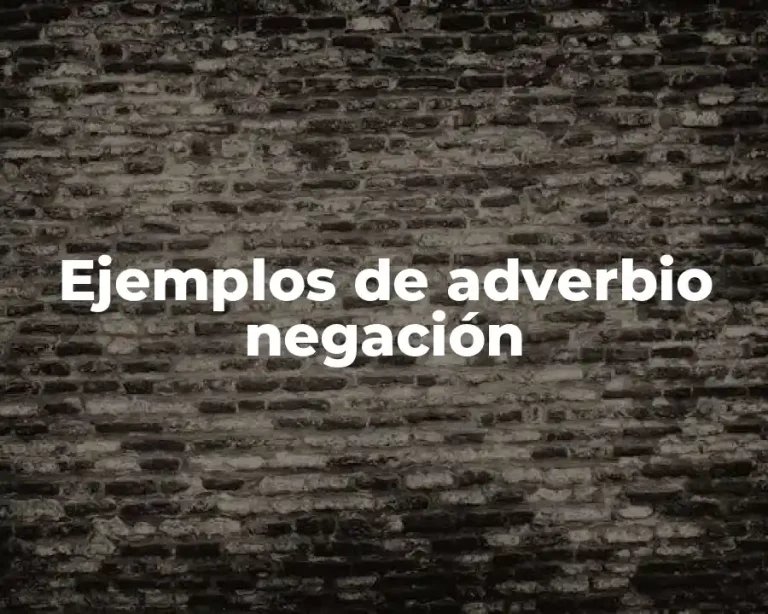 Ejemplos de adverbio negación