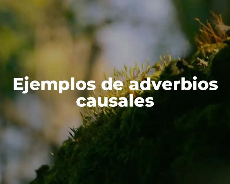 Ejemplos de adverbios causales