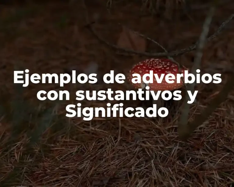 Ejemplos de adverbios con sustantivos y Significado
