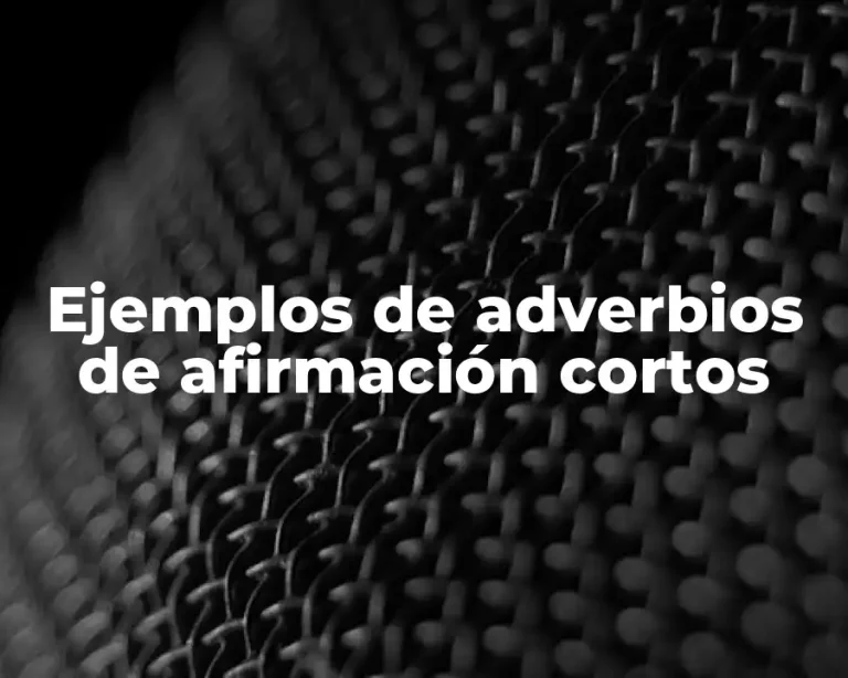 Ejemplos de adverbios de afirmación cortos