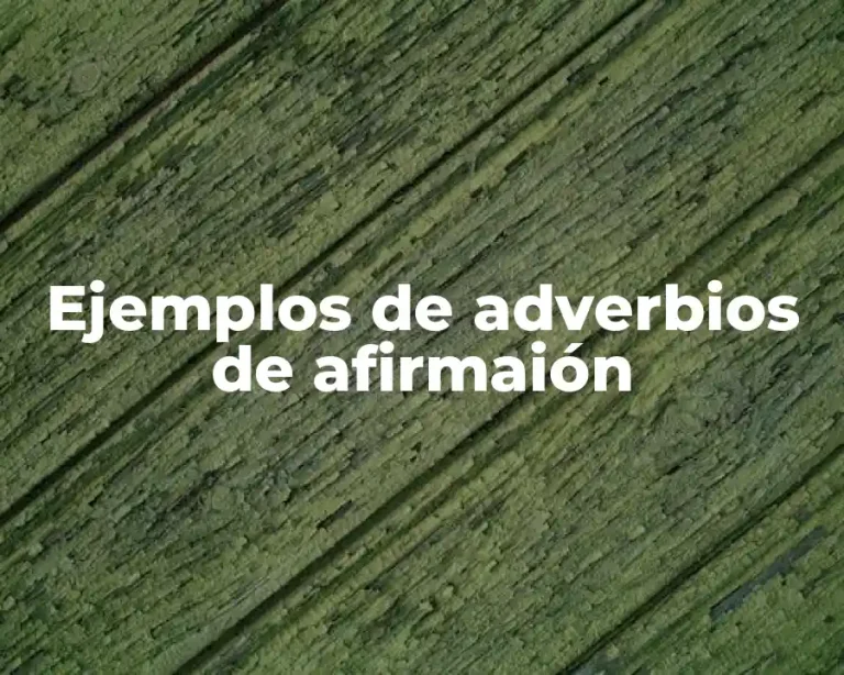 Ejemplos de adverbios de afirmaión