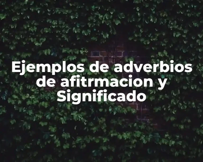 Ejemplos de adverbios de afitrmacion y Significado