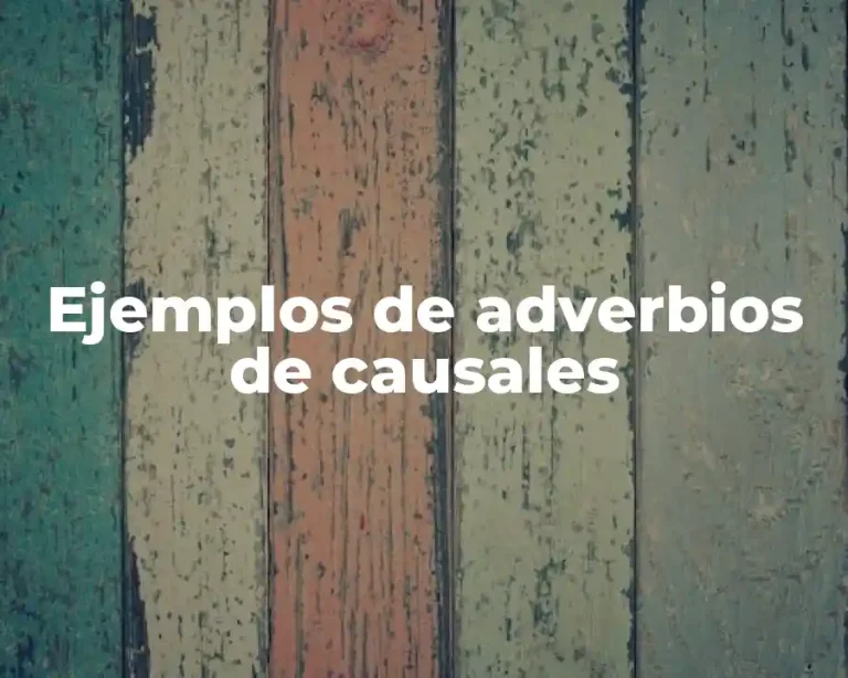 Ejemplos de adverbios de causales