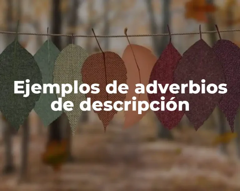 Ejemplos de adverbios de descripción