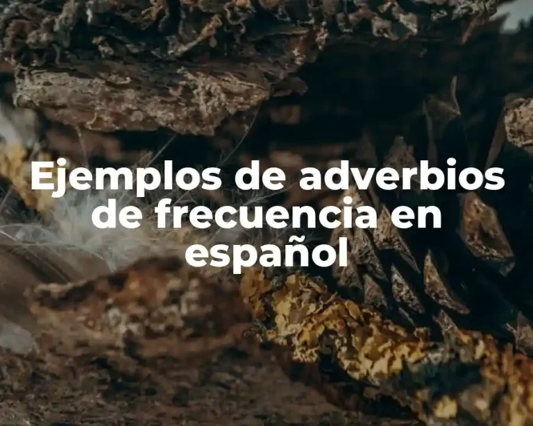 Ejemplos de adverbios de frecuencia en español