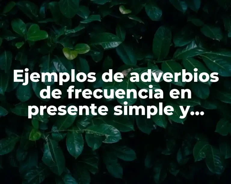 Ejemplos de adverbios de frecuencia en presente simple y Significado