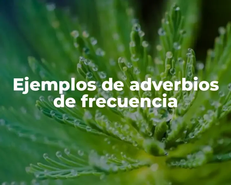 Ejemplos de adverbios de frecuencia