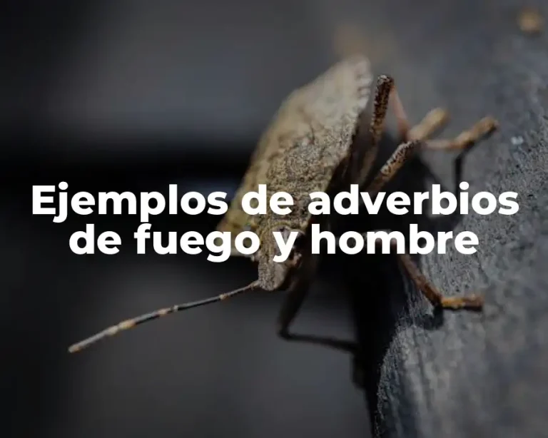 Ejemplos de adverbios de fuego y hombre