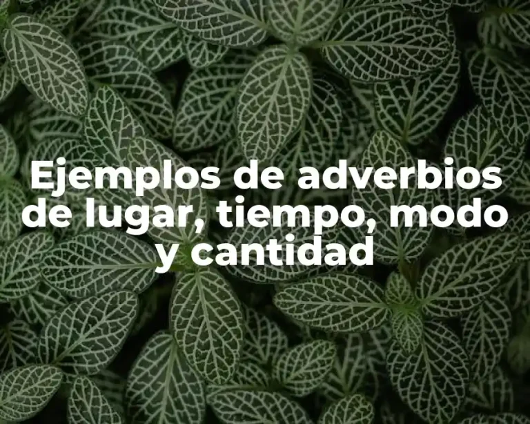 Ejemplos de adverbios de lugar, tiempo, modo y cantidad