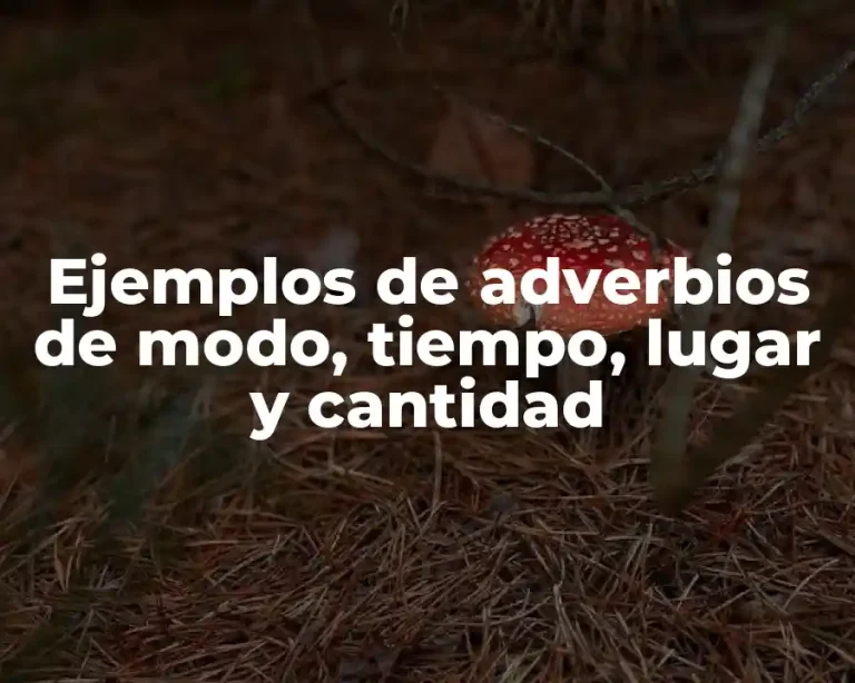 Ejemplos de adverbios de modo, tiempo, lugar y cantidad