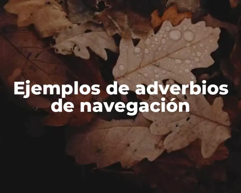 Ejemplos de adverbios de navegación