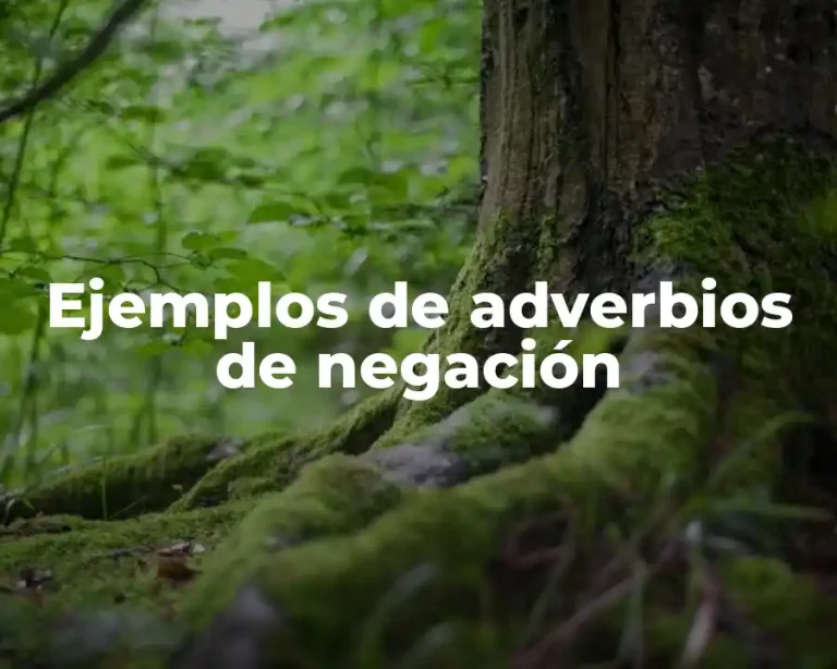 Ejemplos de adverbios de negación