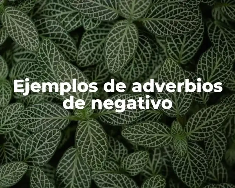 Ejemplos de adverbios de negativo