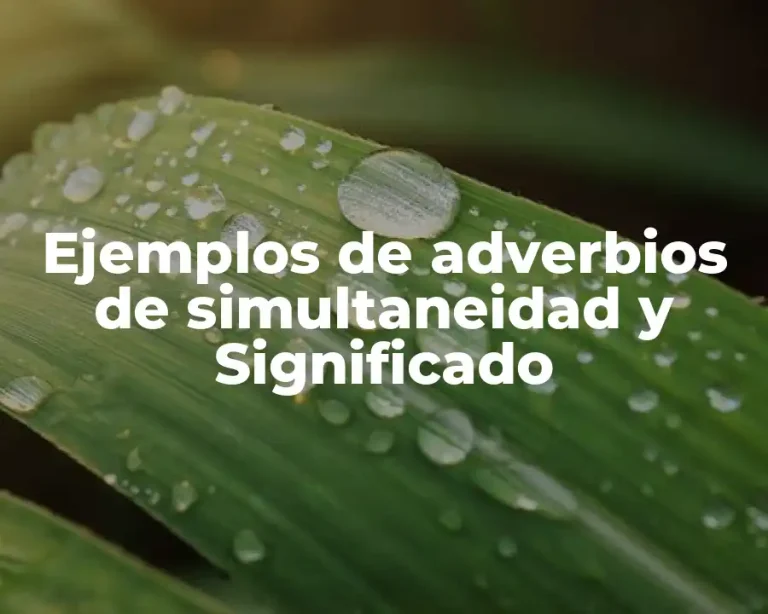Ejemplos de adverbios de simultaneidad y Significado
