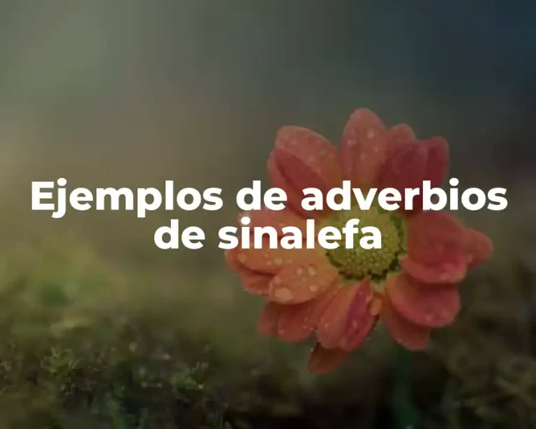 Ejemplos de adverbios de sinalefa