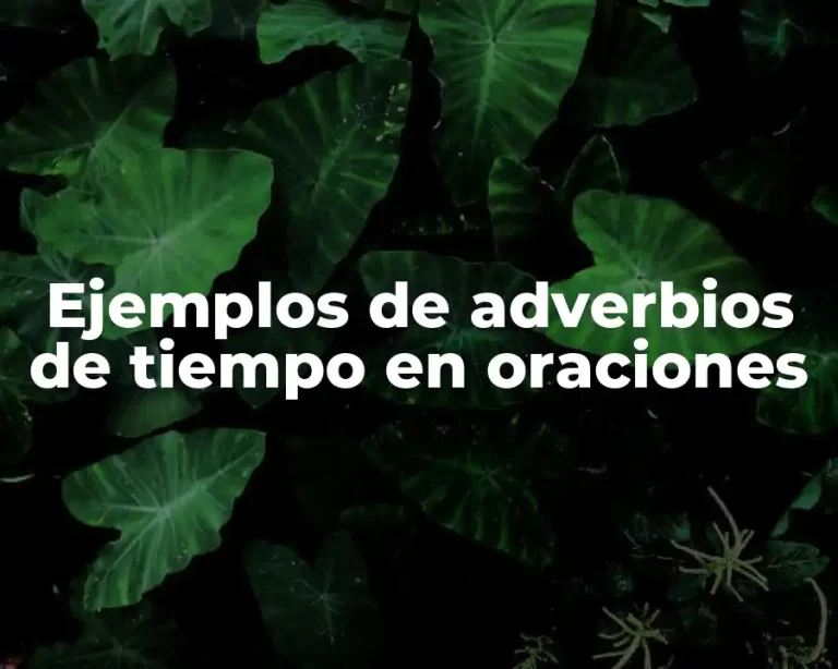 Ejemplos de adverbios de tiempo en oraciones