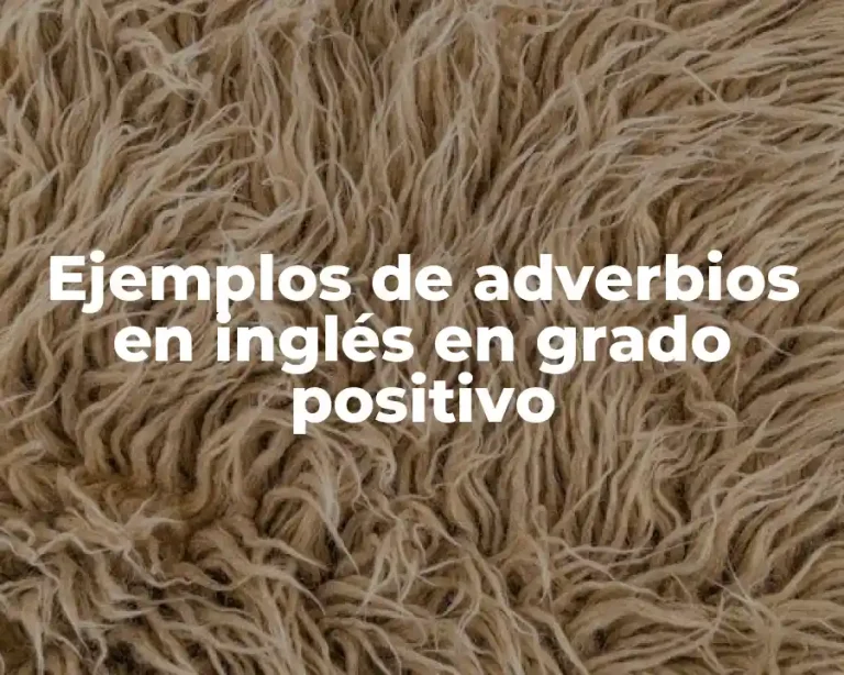 Ejemplos de adverbios en inglés en grado positivo
