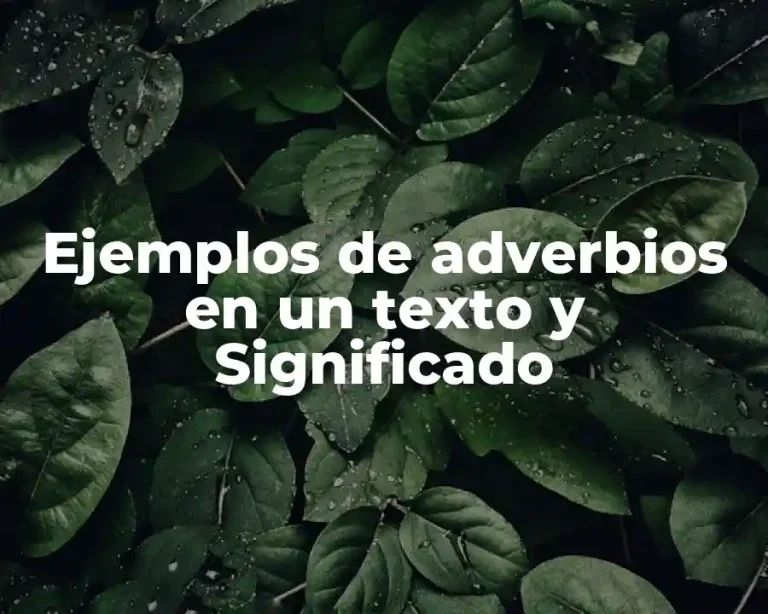 Ejemplos de adverbios en un texto y Significado