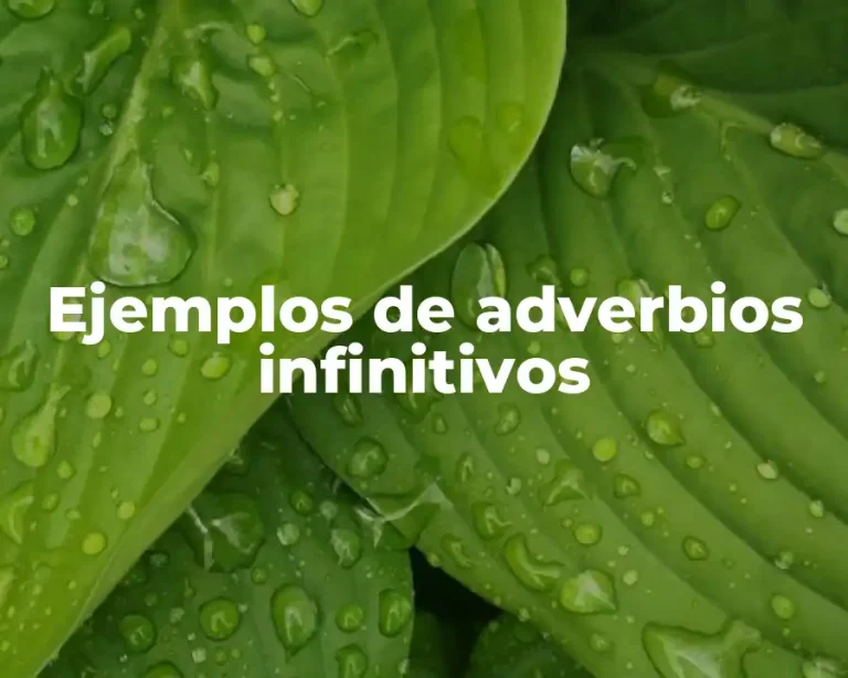 Ejemplos de adverbios infinitivos