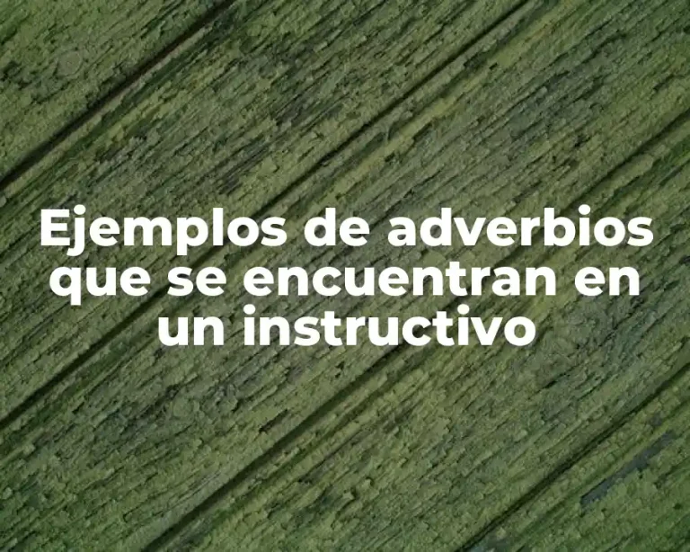 Ejemplos de adverbios que se encuentran en un instructivo