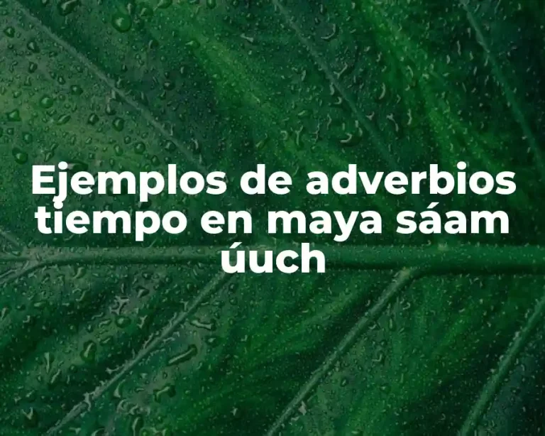 Ejemplos de adverbios tiempo en maya sáam úuch
