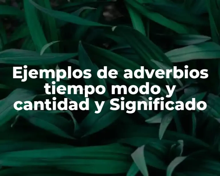 Ejemplos de adverbios tiempo modo y cantidad y Significado