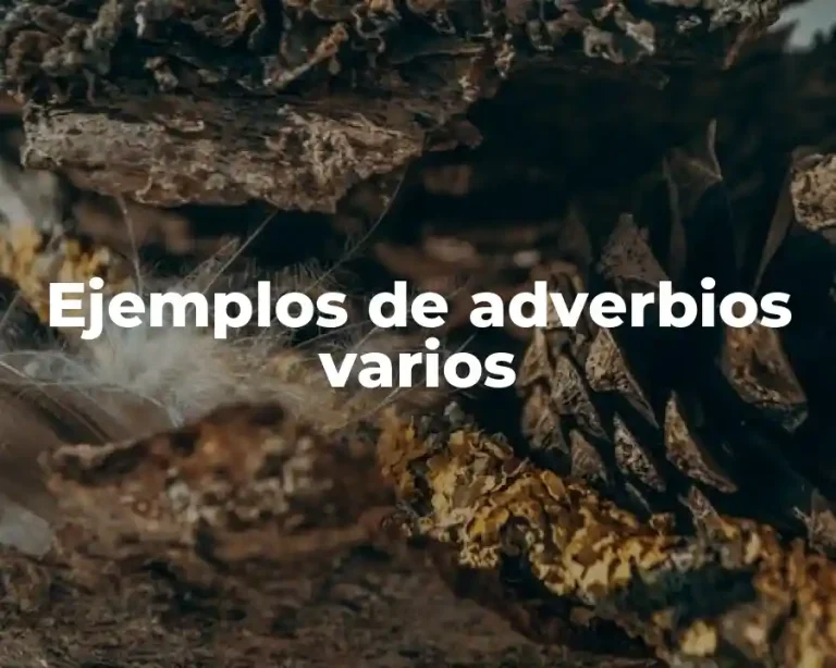 Ejemplos de adverbios varios