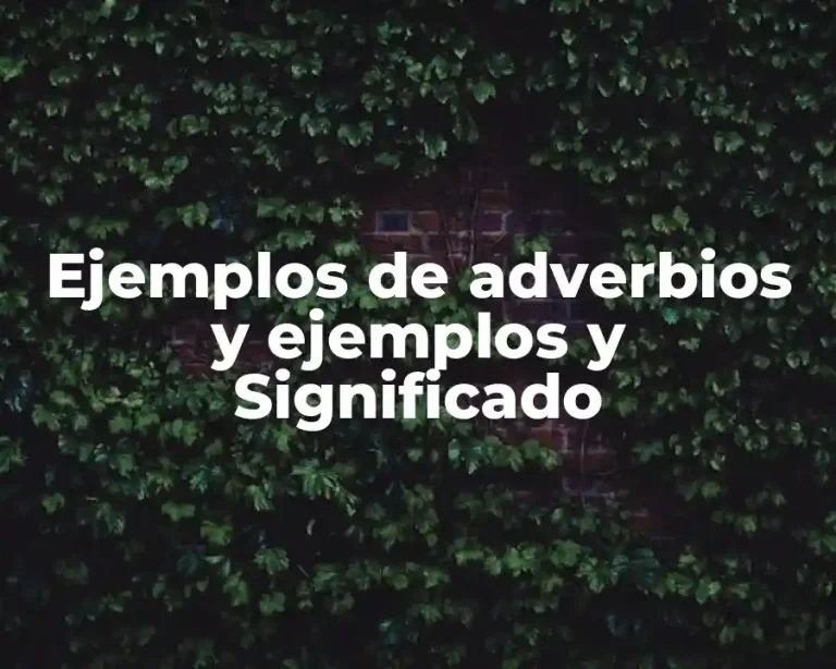 Ejemplos de adverbios y ejemplos y Significado