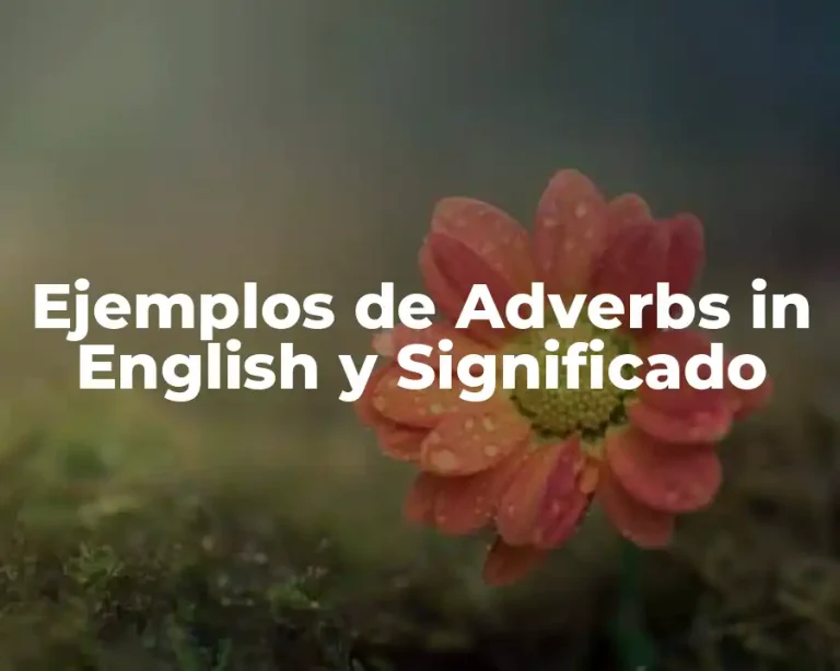 Ejemplos de Adverbs in English y Significado