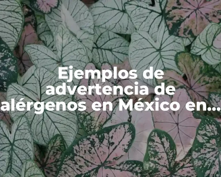 Ejemplos de advertencia de alérgenos en México en etiquetas